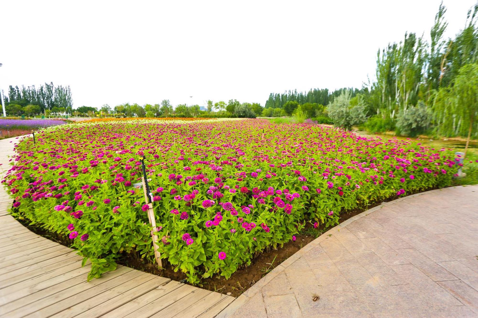 Primus Hotel Yinchuan Exterior photo